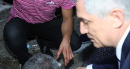 İlk Müdahaleyi Rektör Prof. Dr. Kibar Yaptı