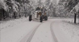 POZANTI’DA ÇIĞ DÜŞMESİ SONUCU ÖLÜ VE YARALILAR VAR