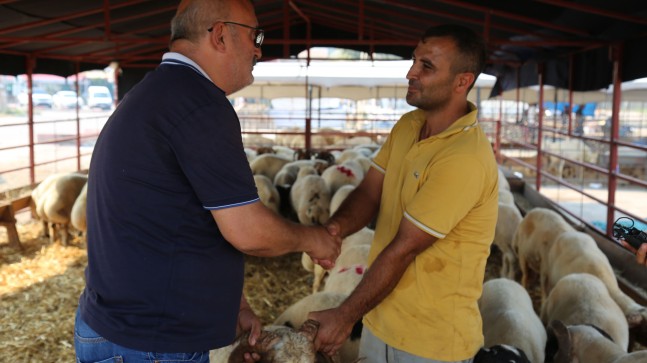 Kurbanlık satış ve kesim merkezleri ilaçlanıyor