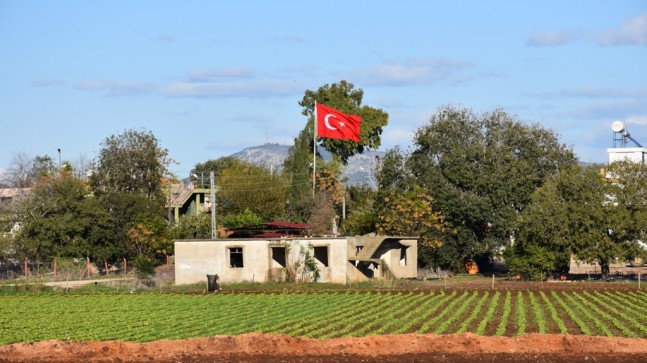 YUMURTALIK, ARTIK KIRMIZI-BEYAZ