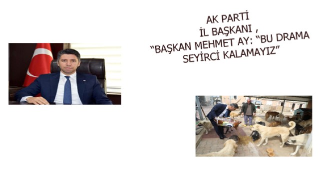 BAŞKAN MEHMET AY: “BU DRAMA SEYİRCİ KALAMAYIZ”