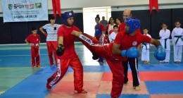 Bahar Şenliği Karate, Wushu ve Tekvando müsabakaları