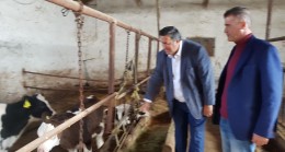 GÜRER: “Buzdağı Ölümleri Önlense Türkiye’de Et Sorunu Kalmaz”