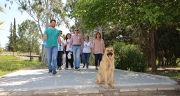 Kampüsteki Köpeklere Genel Sağlık Kontrolü