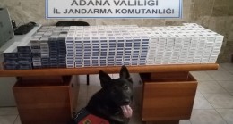JANDARMADAN KAÇAKÇILARA OPERASYON