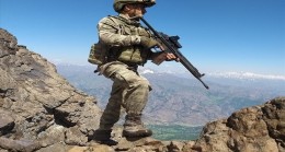 PENÇE HAREKATI DEVAM EDİYOR