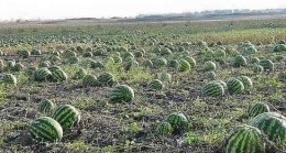 BAŞKAN YÜCE’DEN ÇAĞRI.
