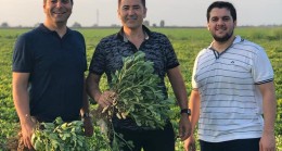GÜL, “DÖNÜME ORTALAMA 400 KĞ OLUR”