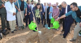 205 BİN  FİDAN TOPRAKLA BULUŞTU