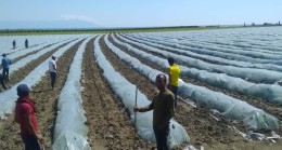 VALİ DEMİRTAŞ, “TARIM SEKTÖRÜNDE FAALİYETLERE  ARA  VERİLMEYECEK”