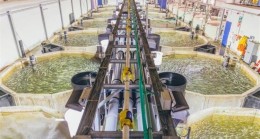 ADANA KARATAŞ TARIMA DAYALI İHTİSAS SU ÜRÜNLERİ ORGANİZE  SANAYİ BÖLGESİNDE ÖN TALEP SÜRECİ BAŞLIYOR