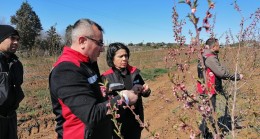 ADANA’DA ÜRETİCİLERE 717 MİLYON TL DON ZARARI ÖDEMESİ YAPILDI