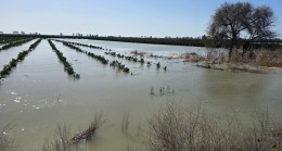 TARLALAR, BAÇELER  SULAR ALTINDA KALDI