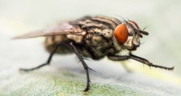 VATANDAŞIN GÜNDEMİNDEKİ ÖNEMLİ SORUN