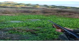 ADANA VALİLİĞİNDEN AV YASAĞI  HAKKINDA AÇIKLAMA