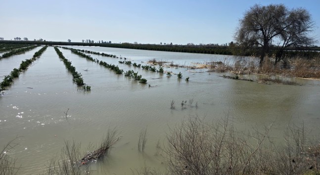 TARLALAR, BAÇELER  SULAR ALTINDA KALDI