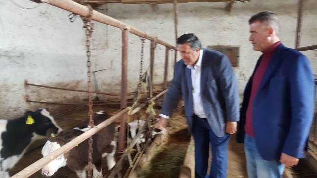 GÜRER: “Buzdağı Ölümleri Önlense Türkiye’de Et Sorunu Kalmaz”