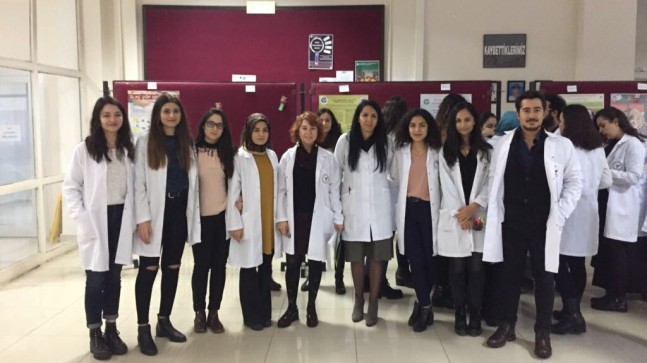Proje Hazırlayan Öğrencilere Başarı Belgeleri Verildi.