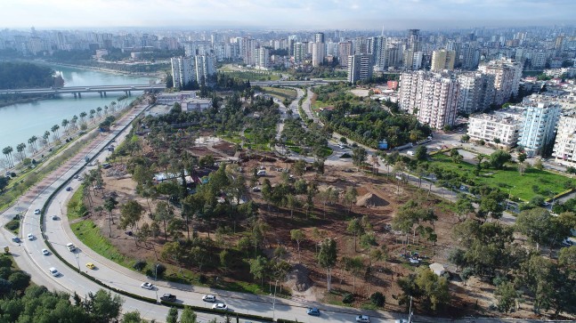 BEYAZEVLER ÇAMLIĞI