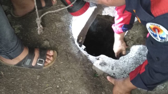 KUYUYA DÜŞEN KUZUNUN SONU NE OLDU.?