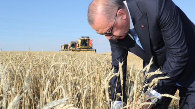 BAŞKAN ERDOĞAN BİÇER DÖVER KULLANDI