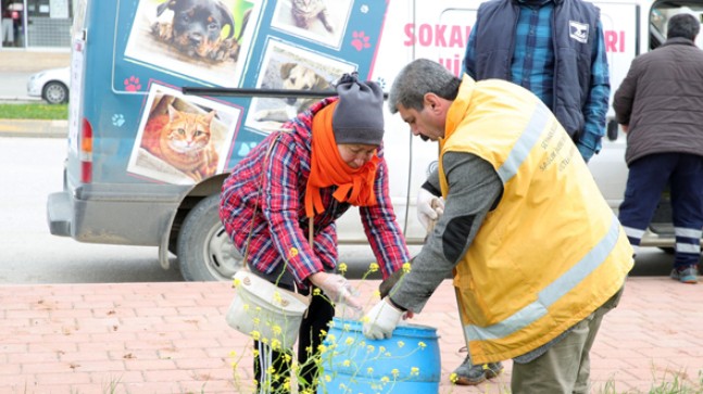 Lokantalar Kapandı,Sokak Hayvanları Aç Kaldı