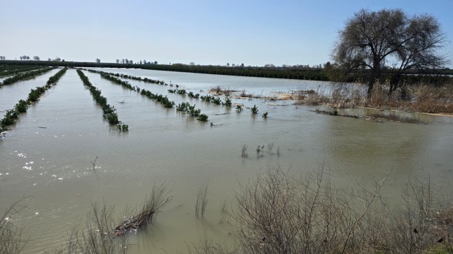 TARLALAR, BAÇELER  SULAR ALTINDA KALDI