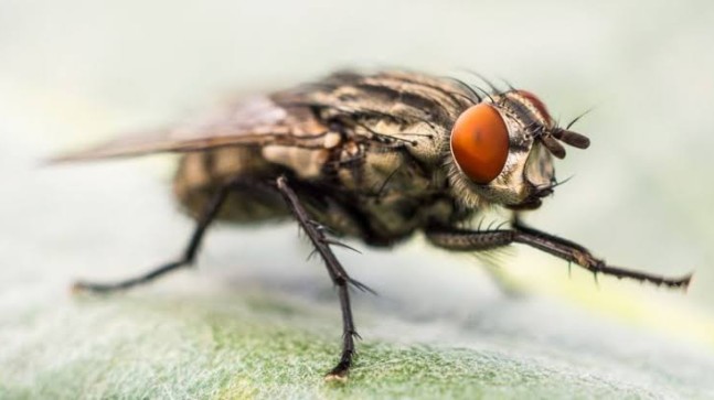 VATANDAŞIN GÜNDEMİNDEKİ ÖNEMLİ SORUN