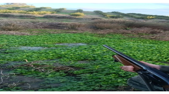 ADANA VALİLİĞİNDEN AV YASAĞI  HAKKINDA AÇIKLAMA