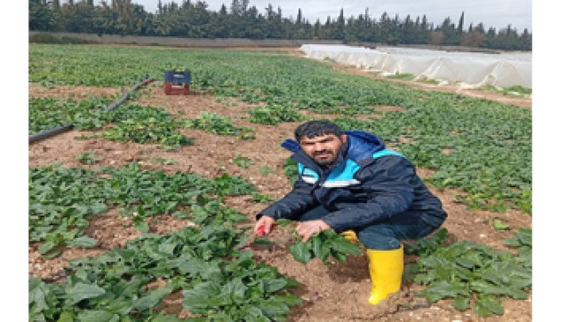 SARIÇAM CHP’DE NELER OLUYOR..?