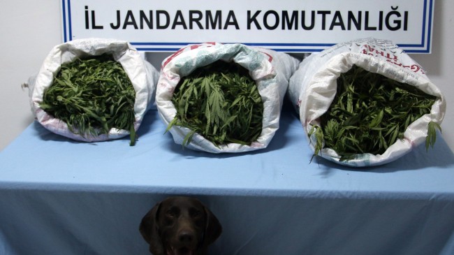 ARAMA NOKTASINDA UYUŞTURUCU…