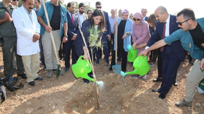 205 BİN  FİDAN TOPRAKLA BULUŞTU
