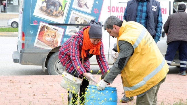 Lokantalar Kapandı,Sokak Hayvanları Aç Kaldı