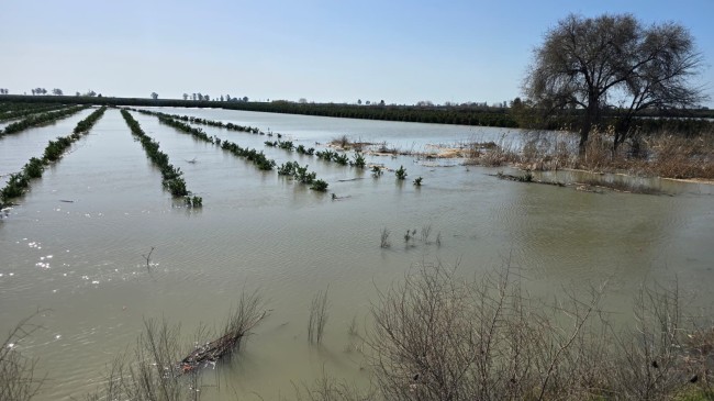 TARLALAR, BAÇELER  SULAR ALTINDA KALDI