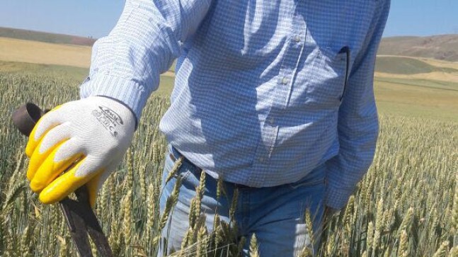 Karakaya, “Karardan vazgeçin”