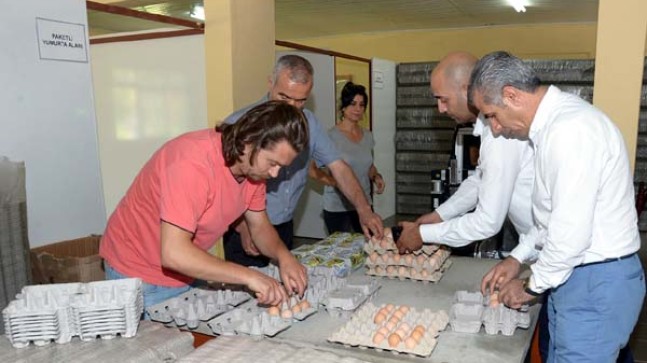 Ağustos’un Zam Şampiyonu Yumurta Oldu