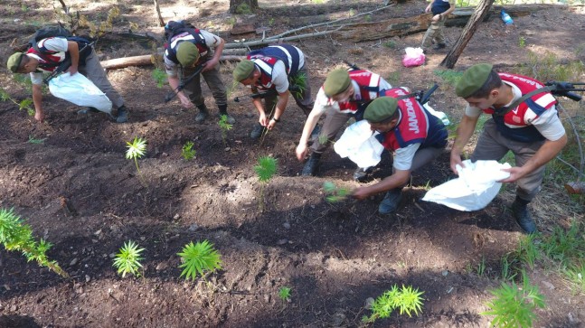 Yüreğir ve Kozan’da Operasyon