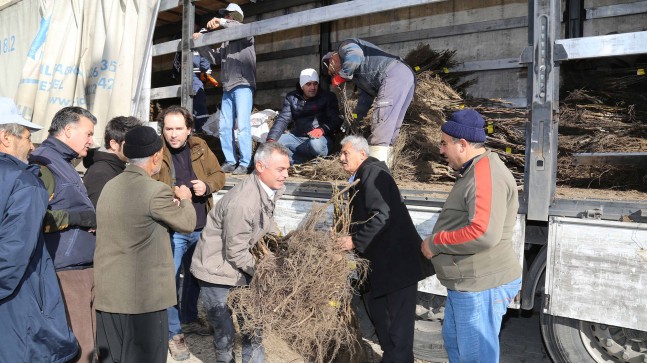 ŞEHİRDEN KÖYLÜYE