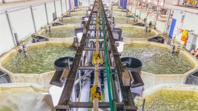 ADANA KARATAŞ TARIMA DAYALI İHTİSAS SU ÜRÜNLERİ ORGANİZE  SANAYİ BÖLGESİNDE ÖN TALEP SÜRECİ BAŞLIYOR