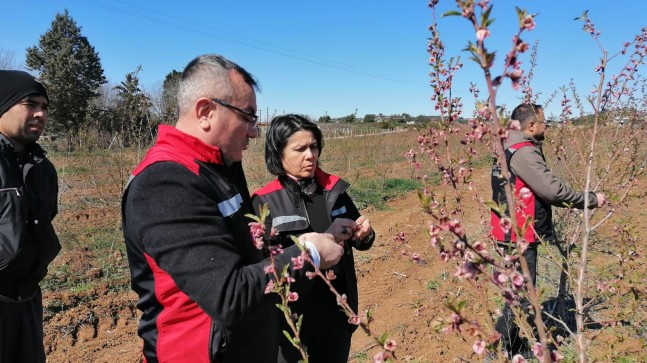 ADANA’DA ÜRETİCİLERE 717 MİLYON TL DON ZARARI ÖDEMESİ YAPILDI